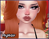 haifa ginger