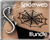 Spiderweb Accessory Bndl