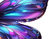 violet wings
