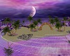 Purple Dream Beach