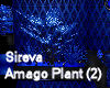 Sireva Amago Plant (2)