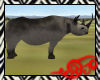 Safari Black Rhino