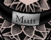 ♦V♦ Mutt Collar