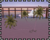 "Miami 3 Palmtrees