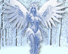 Winter Angel Picture