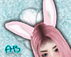 [AB]Cute Rabbit Ears