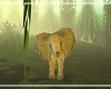 Baby Jungle Elephant