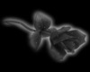 Black Animated Rose Lamp