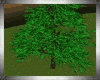 Pin Tree_V1