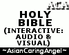 HOLY BIBLE AUDIO VISUAL
