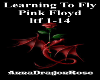 Learning To Fly - PF