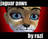 Jaguar Paws