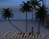 Cha`HoneymoonPalmTrees 2