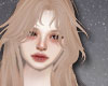 𝐒.Veli