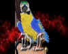 🦜 Parrot