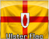 SS™ Ulster Flag