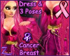 .Z. D Pink Rydia Cancer