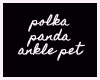Polka Panda
