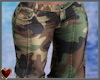 Camo Cargos