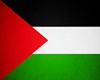 Palestine  Flag