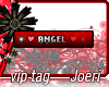 j| Angel