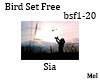 Bird Free Sia - bsf1-20