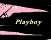PlayBoy Fit