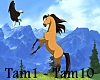 Spirit - me niet tammen