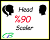 3~ Head Scale %90