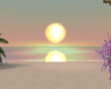 PRAIA WEDD