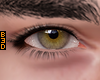 Forest Asteri Eyes