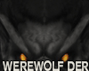 Jm Werewolf  Derivable