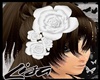 !LISA! White roses