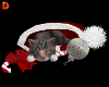 {DP}Christmas Kitten