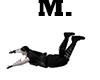 Z* Flying Avatar Male