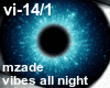 Vibes All Night - 1