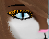 ~mkk~ makeup zebra tiger