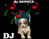 DJ music dog
