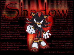 shadow baby T