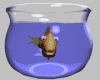 Goldfish In Bowl