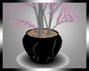 [kL] Pinkle Plant
