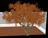 !Em Animated Autumn Tree
