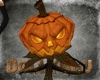 halloween pumpkin animat