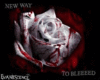 New Way ( nwtb 1-11 )