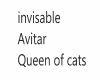 invis avi Queen of cats