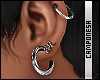 C. Silver Earrings