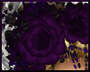 Purple Roses Accessory 1