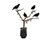 crow vase