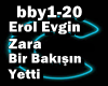 *C*Erol Evgin