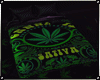 Sativa Weed Bed